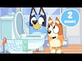 Download Lagu Bluey and Bingo at their Cheekiest 💙 🧡 | 2 HOURS of Funny Bluey Moments! | Try Not to Laugh | Bluey