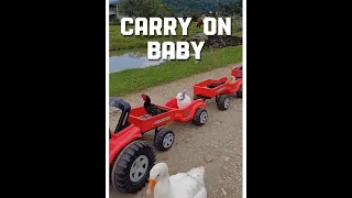 Amazing the baby playing most interesting video #youtubeshorts