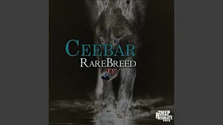 rarebreed afrotech mix 