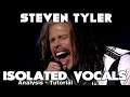 Download Lagu Aerosmith - Steven Tyler - I Don't Want To Miss A Thing - Isolated Vocals - Analysis and Tutorial