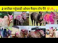 Download Lagu 2 सप्टेंबर गट्टेवाडी ओपन मैदान टॉप पैरे 💯🙏🏻🔥बकासुरचा पैरा नक्की कोण?#bailgada #bailgadasharyat # 