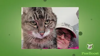 Samantha s Happy Tail