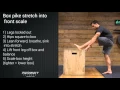 MONKEY METHOD Box pike stretch into front scale