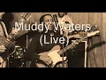 Muddy Waters-Baby Please Don't Go (Live)