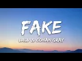 Lauv & Conan Gray - Fake (Lyrics)