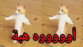  اغنية  هبة هبه  الحلوة عيد ميلاد هبه اول تعليق السعودية الكويت تركيا العراق الجزائر جده دبي الرياض دندنها