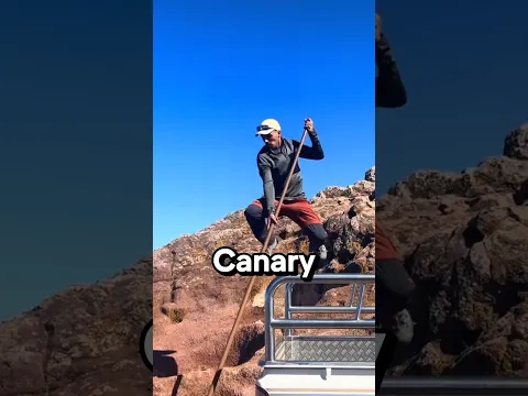 🤯 The Stick Technique for Jumping off Cliffs!
