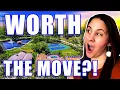 Pros Cons Of Living In Palm Harbor Florida Moving To Palm Harbor Florida FL Paradise Found