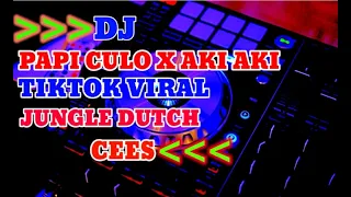 Download DJ papi chulo x aki aki tiktok viral jungle Dutch terbaru 2021 MP3