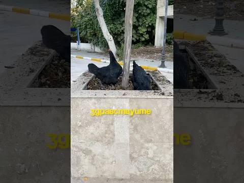 Кто со мной?😂