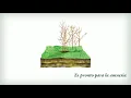 Vetusta Morla - Consejo de Sabios (Lyric Video)