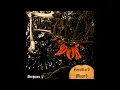 FW Archives I - very early improvisations unlistenable Chitinozoa