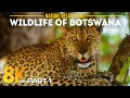 Lagu Fascinating African Wildlife in 8K HDR | A Calm Cinematic Safari in Botswana - Part 1