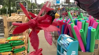 Bird Windchimes Clip