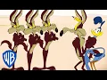 Download Lagu Looney Tunes | How Many Coyotes Does It Take to Catch a Road Runner? | @wbkids​