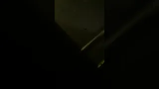 the old man fucking with telemarketers