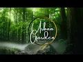Phir Mohabbat Karne Chala | Lofi | Mohd Irfan, Arjit Singh, Salim Bhat