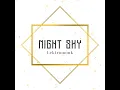 Night Sky