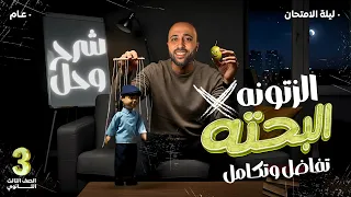 الصف الثالث الثانوي تفاضل وتكامل ليلة الامتحان الزتونه شرح وحل التفاضل والتكامل ليلة الامتحان 