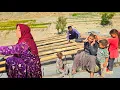 Download Lagu Family Documentary of Salahaddin | Roof Construction, Farm Visit \u0026 Heartfelt Conversations