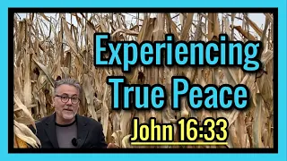 John 16 33 Explanation