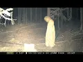 Unknown Creatures Caught On Camera We Cannot Explain - Part 4