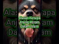 Download Lagu Alasan Kenapa Anjing Haram Dalam Islam. #faktadunia