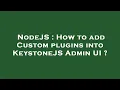 NodeJS How to add Custom plugins into KeystoneJS Admin UI