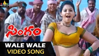 singam yamudu 2 video songs wale wale lelemma video song suriya anjali sri balaji video