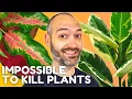 Download Lagu Absolute Top 20 EASIEST Plants to Look After