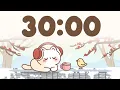 30 Minute Timer Study Timer for Classroom Focus