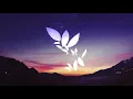 Jon Hopkins - Feel First Life (Zimo's Intimate Remix)