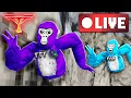 TTT is LIVE Gorilla Tag Stream