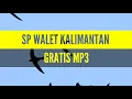 Download Lagu SUARA BURUNG WALET - SP SEDOT WALET TETANGGA