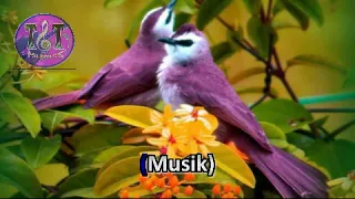 tembang asmara koes plus karaoke non vocal