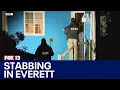 Everett WA police investigate stabbing at Lions Park