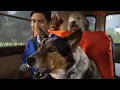 NICKJR LA PROMOS 2018 VIMEO For LostNoggin - andNickJr