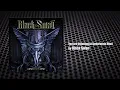 Download Lagu Black Swan (Robin McAuley, Reb Beach, Jeff Pilson, Matt Starr) - \
