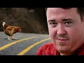 Shane Gillis - Street Jokes One-Liners Comedy Gold