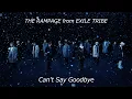 Download Lagu THE RAMPAGE / Can't Say Goodbye (MUSIC VIDEO)