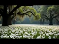 Download Lagu Самая красивая мелодия в мире🌿Эту музыку можно слушать вечно🌿Отличная музыка Сергей Грищук