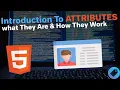 Introduction to Attributes in HTML An Overview of what They Attributes How They Work