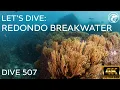 SCUBA Let s Dive Redondo Breakwater - Redondo Beach CA 2025
