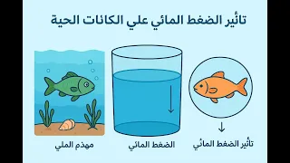 درس 1 9 اثر الضغط المائي علي الكائنات الحية علوم متكاملة اولي ثانوي 2026 
