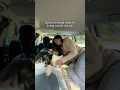 Download Lagu Solo morning routine car camping every weekend with my dog in the mountains for weekly adventures