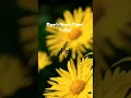 Download Lagu 1 Muharram: Saatnya Kembali ke Allah | Kisah Taubat yang Menggetarkan Jiwa