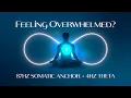 Nervous System Reset Frequency 87Hz Somatic Anchor 4Hz Theta Waves for Deep Recovery