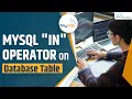 MySQL IN Operator on Database Table MySQL Tutorial for Beginners