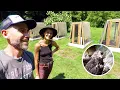 She Raises Sells Pastured Quail in Asheville Wild Way Farm