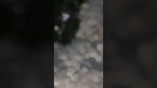 Spirit محراب الحنين 